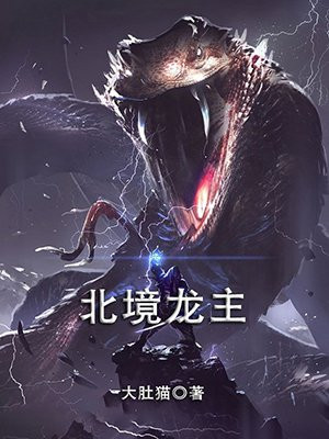 北境龙主小说阅读