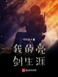 我的亮剑生涯小说阅读