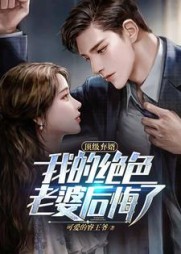 顶级弃婿我的绝色老婆后悔了小说阅读