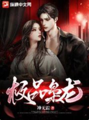 极品枭龙叶问天魏秋人