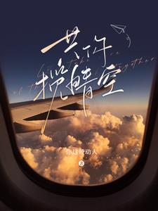 共你揽晴空小说阅读