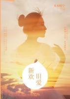 新欢旧爱小说阅读