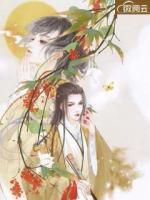 傻子王妃要休夫小说阅读