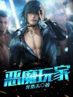 恶魔玩家小说阅读