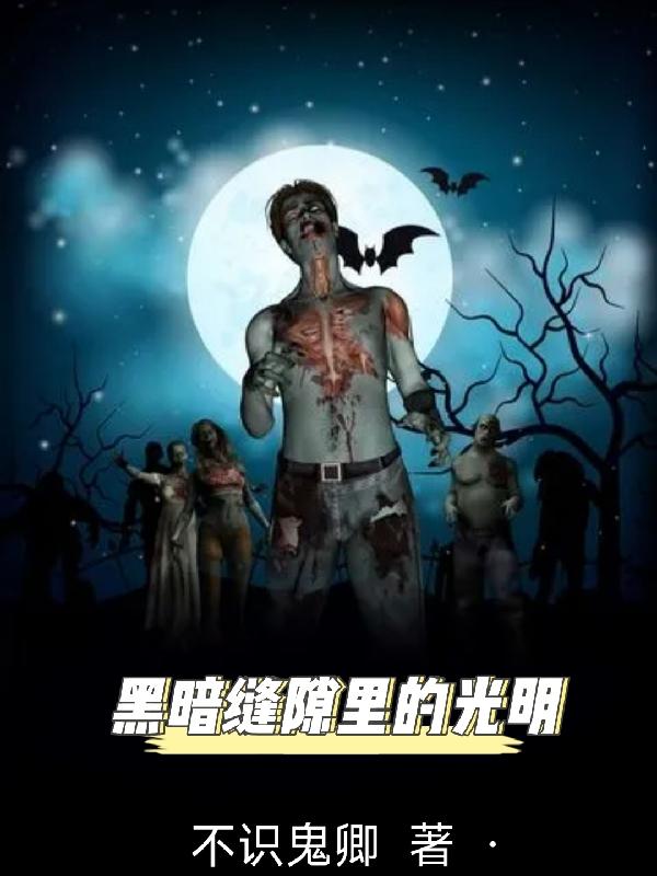 黑暗缝隙里的光明小说阅读